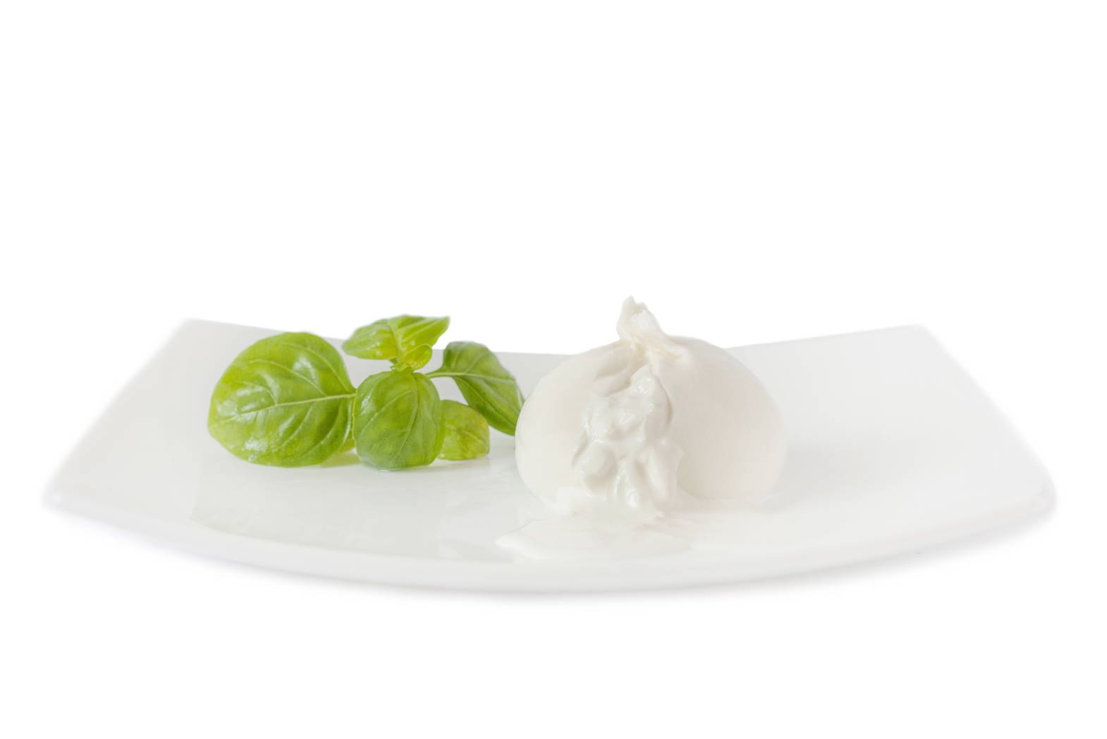 burrata